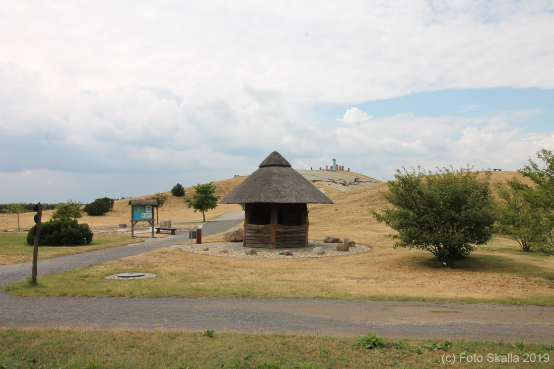 IMG_9450