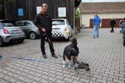 IMG_9397