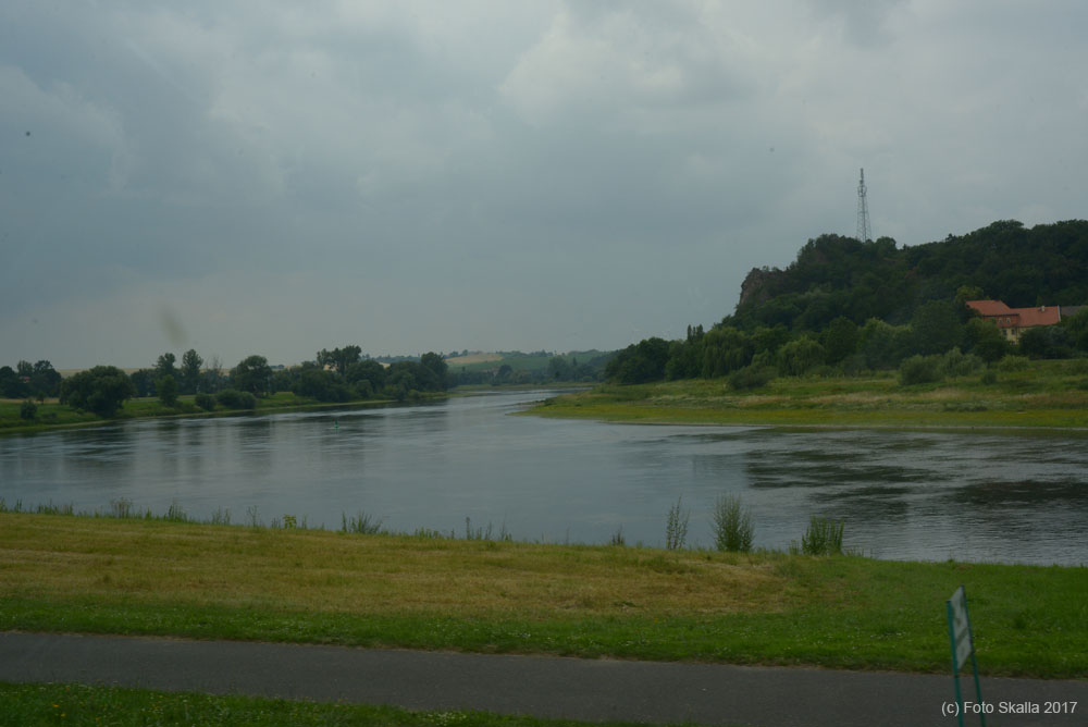 DSC_7771