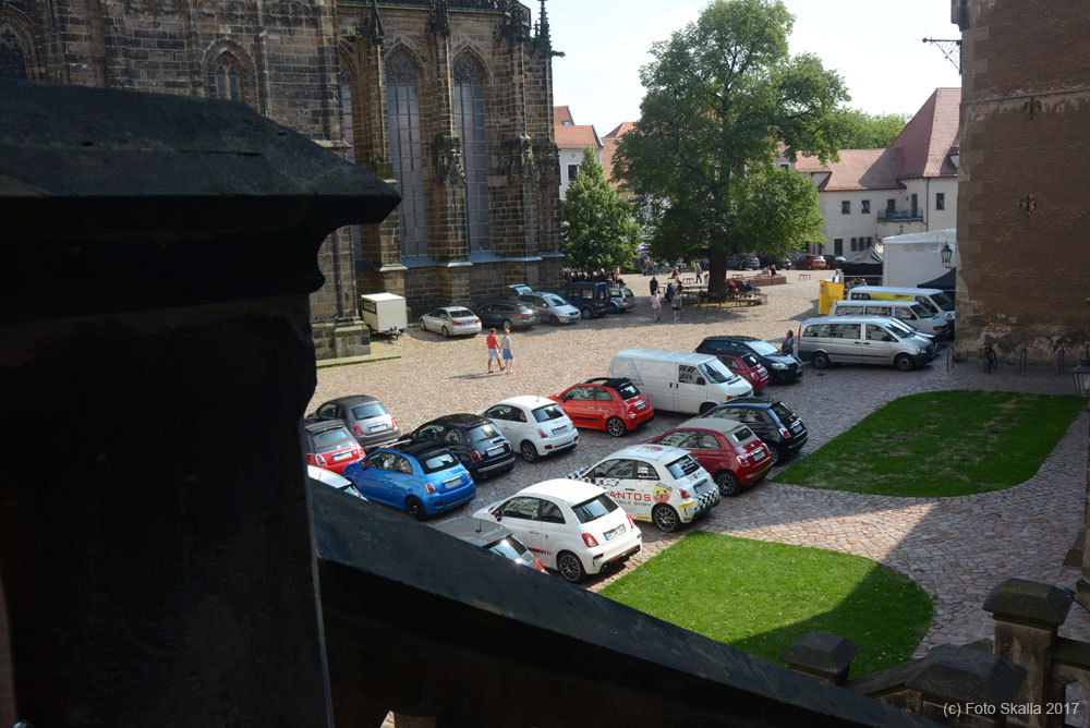 DSC_8000