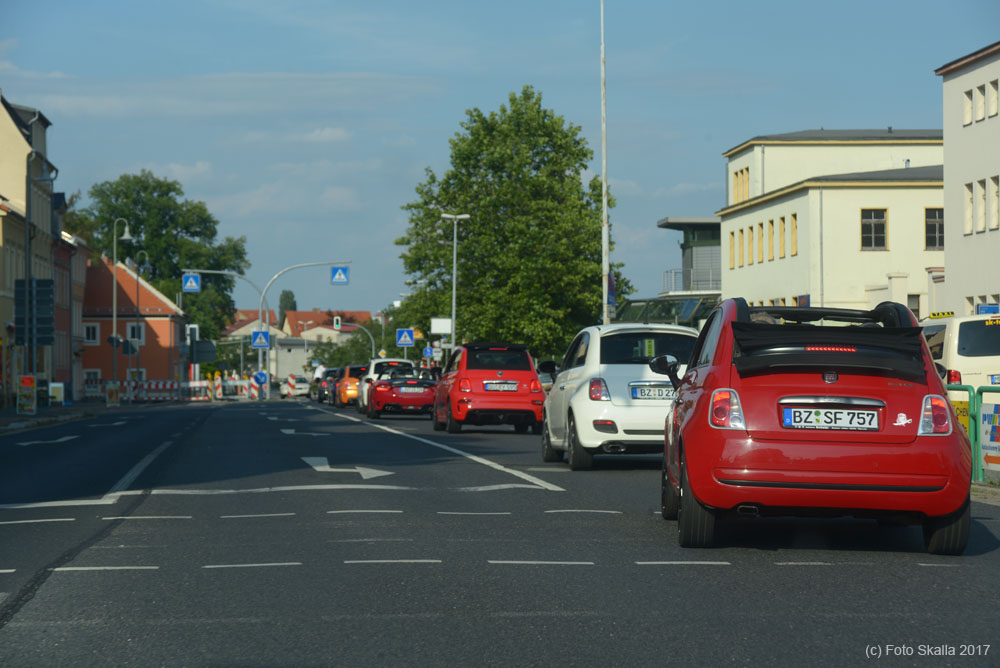 DSC_8207