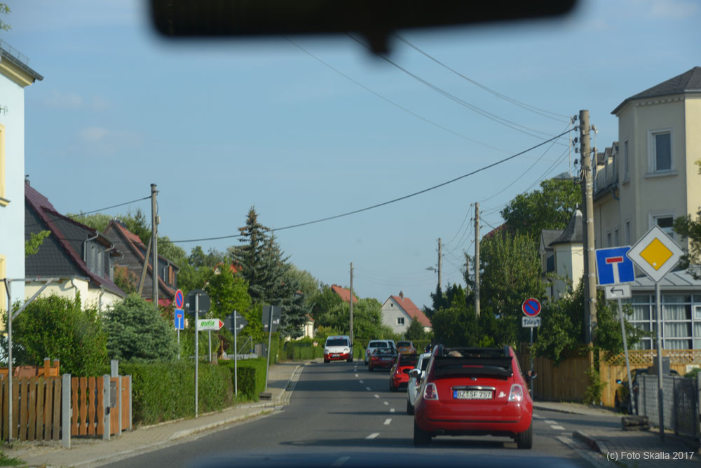 DSC_8223