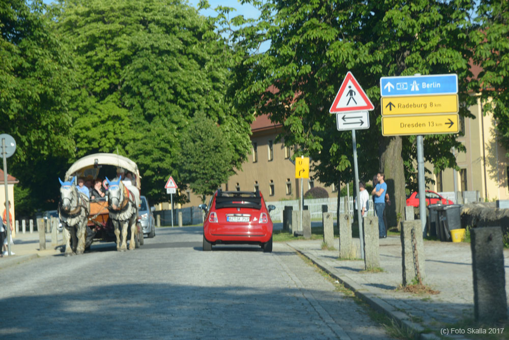 DSC_8247