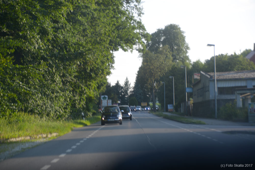 DSC_8326