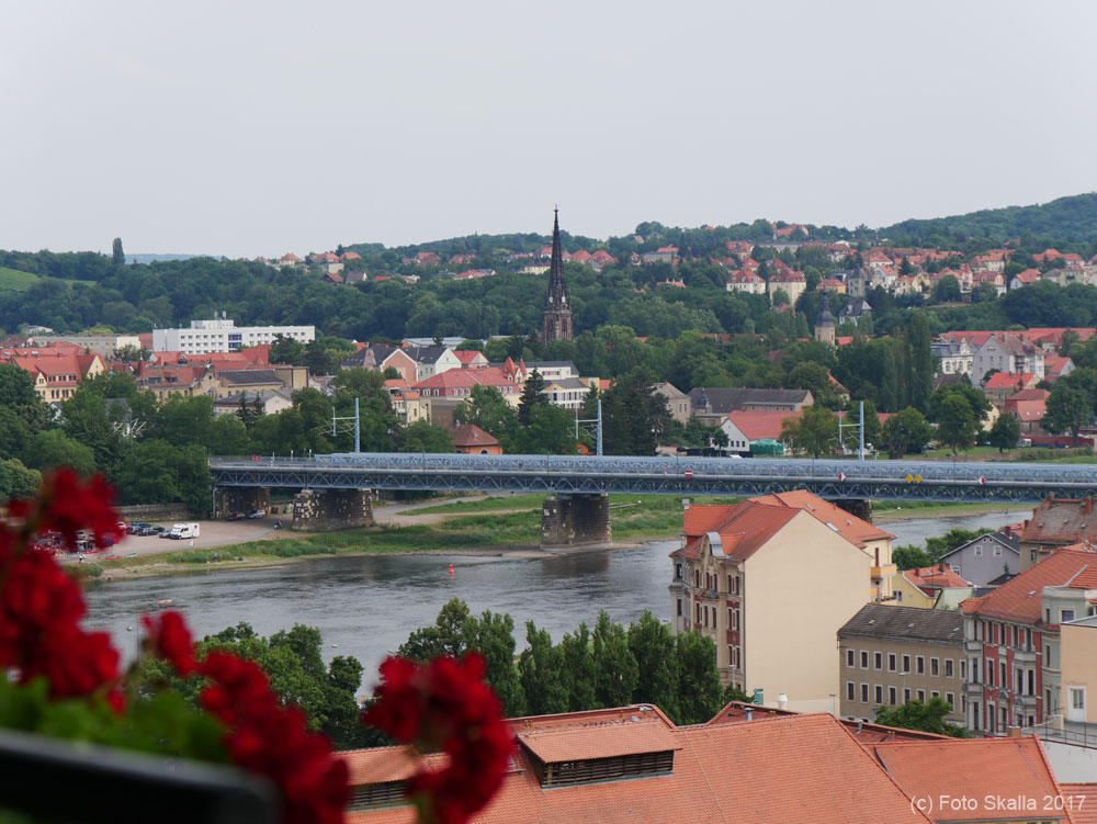P1020499