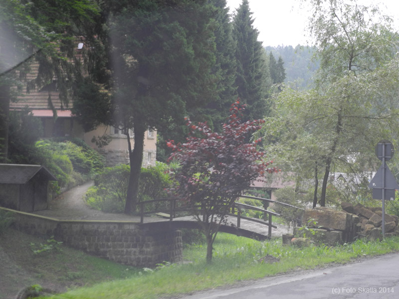 DSCN7591