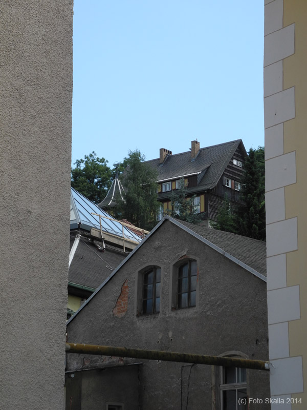 DSCN7649