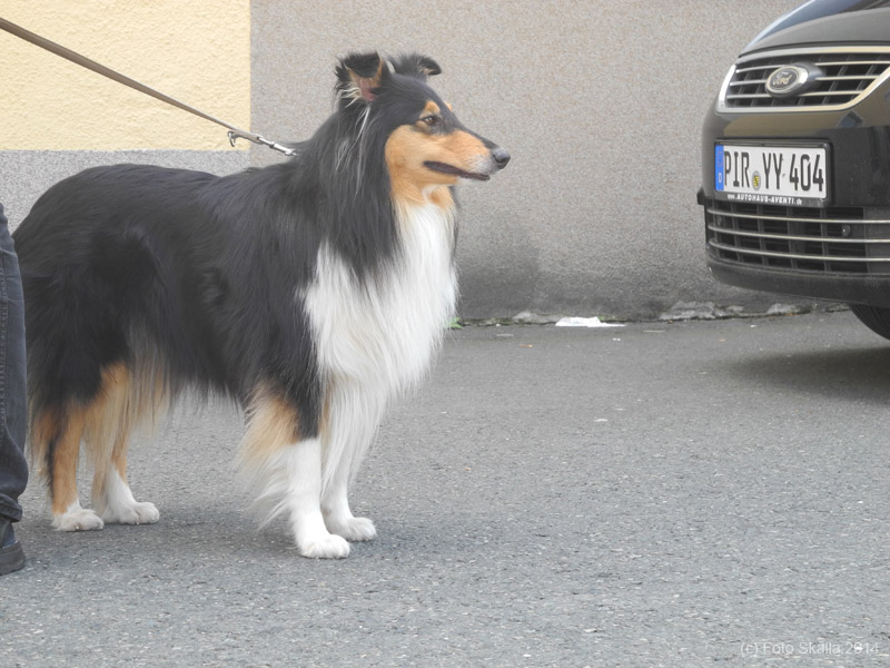 DSCN7652