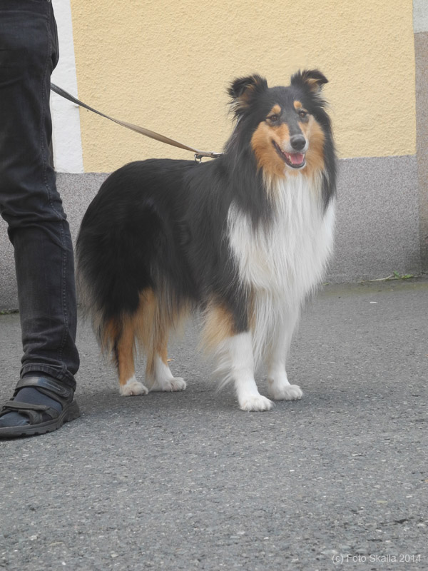 DSCN7653