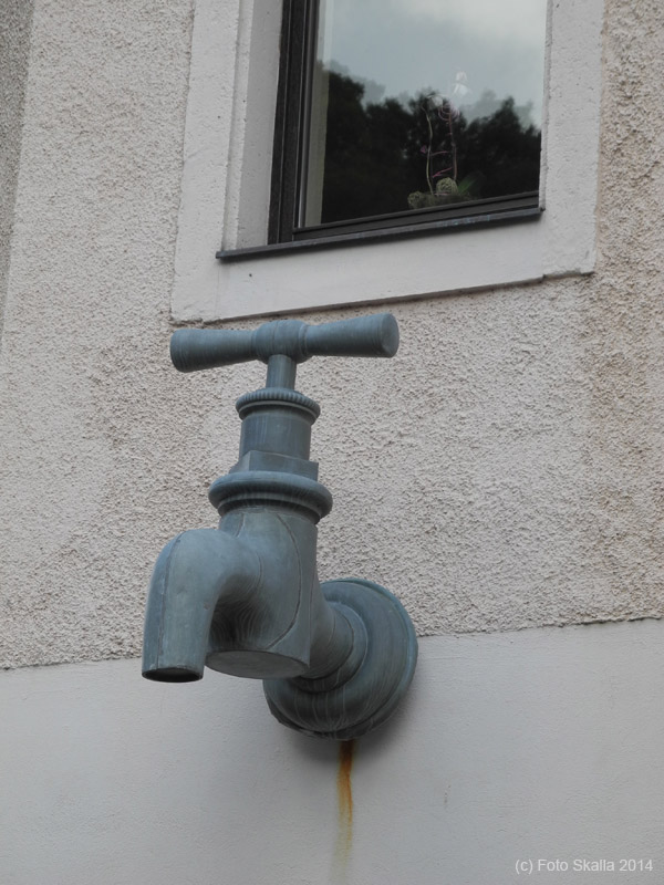 DSCN7731