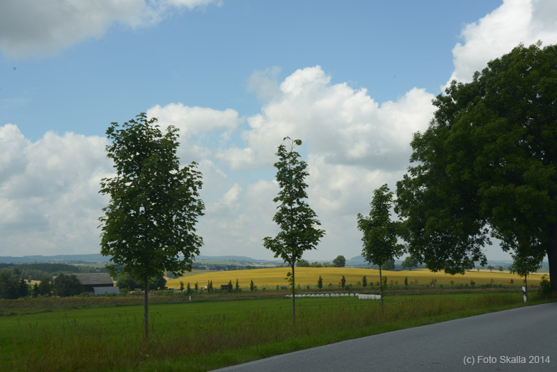 DSC_2327