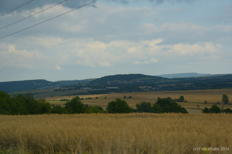 DSC_2644