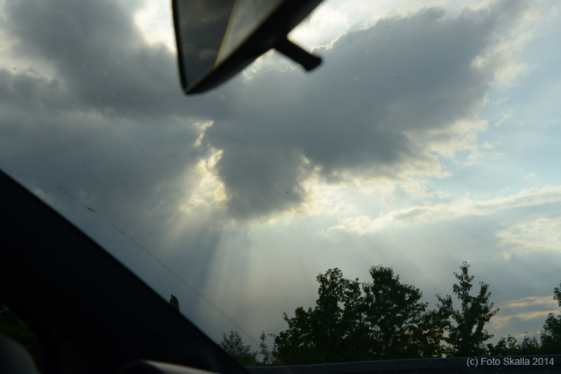 DSC_2654