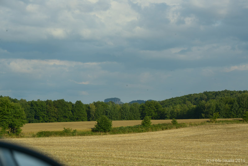 DSC_2666