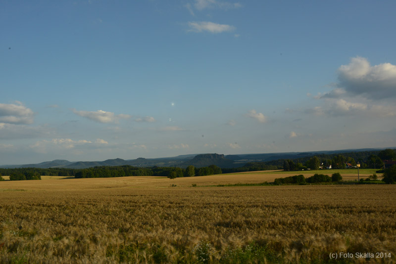 DSC_2685