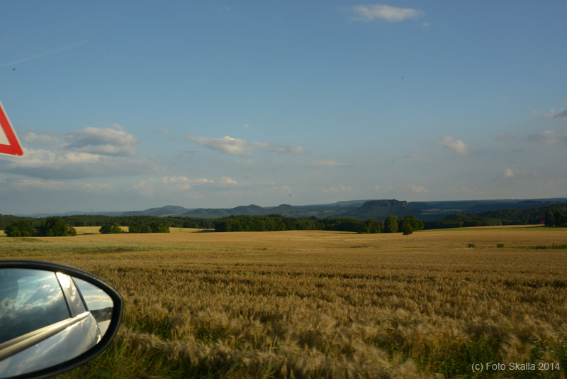 DSC_2686