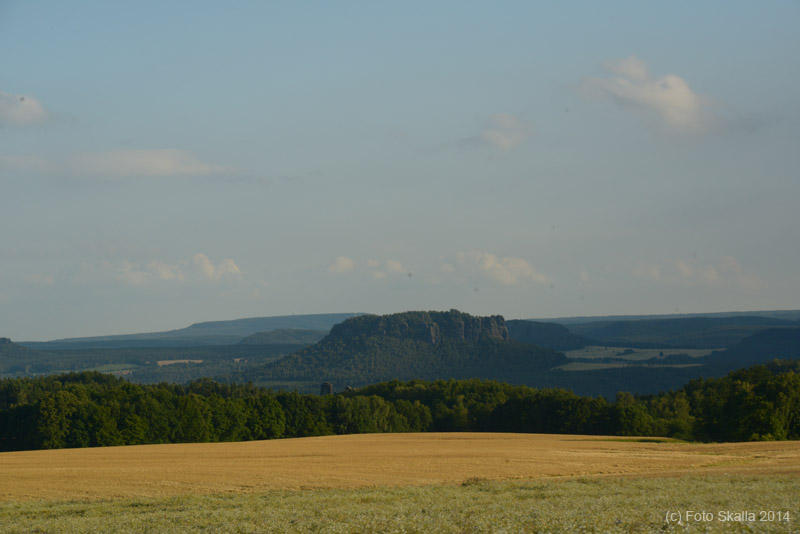 DSC_2687