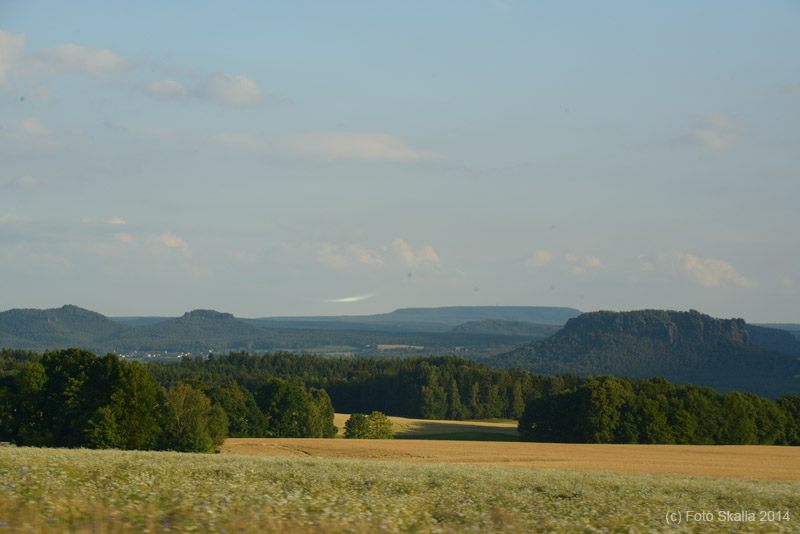 DSC_2688