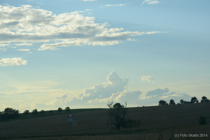 DSC_2713