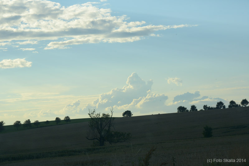 DSC_2714
