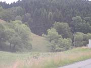 DSCN7588