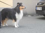DSCN7652