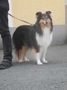 DSCN7653