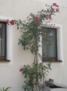 DSCN7675