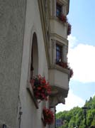 DSCN7709