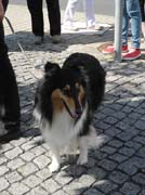 DSCN7857