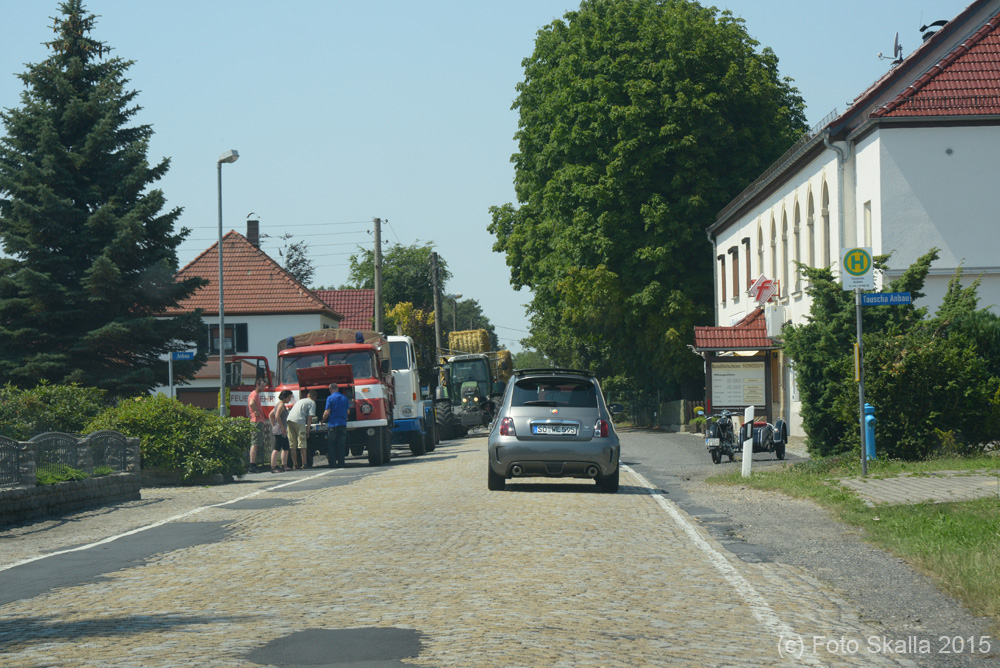DSC_7307