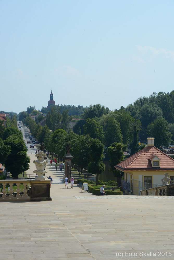 DSC_7436