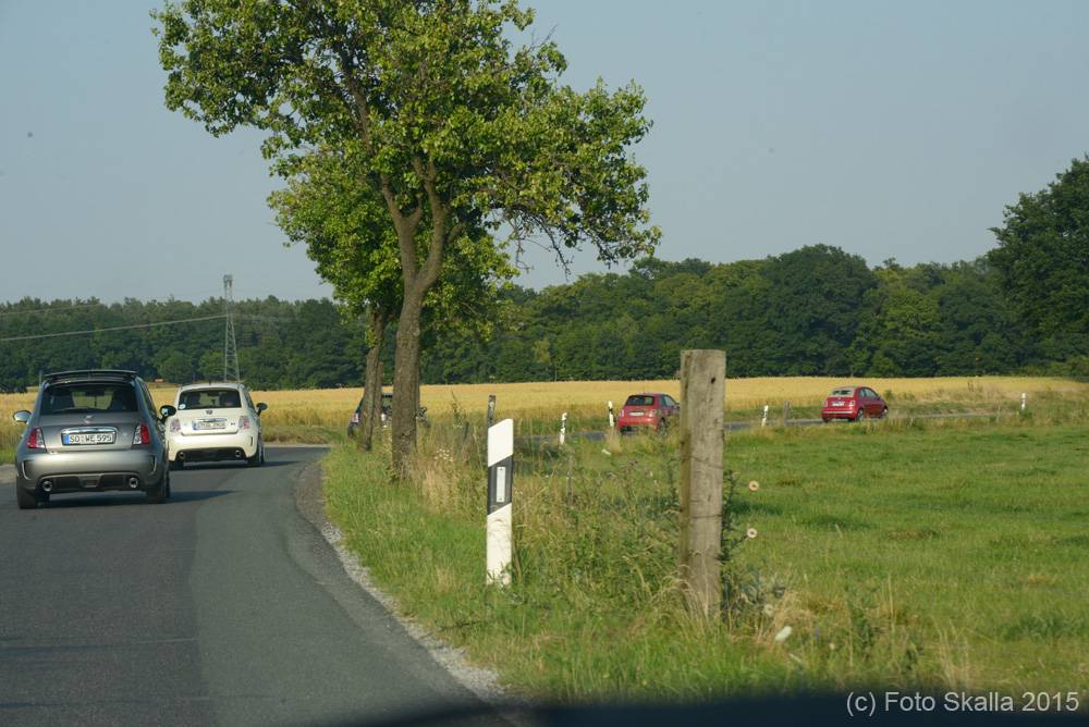 DSC_7610