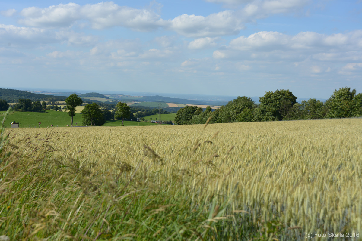 DSC_6388