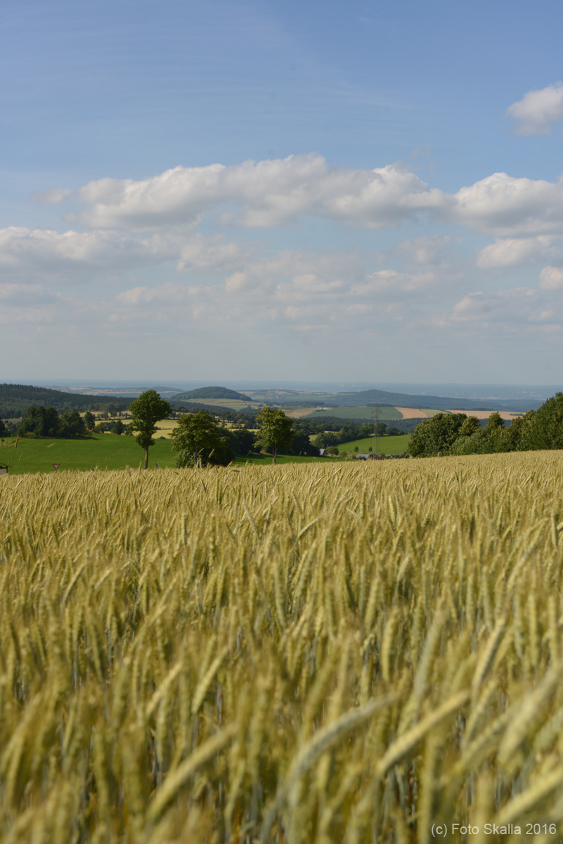 DSC_6400
