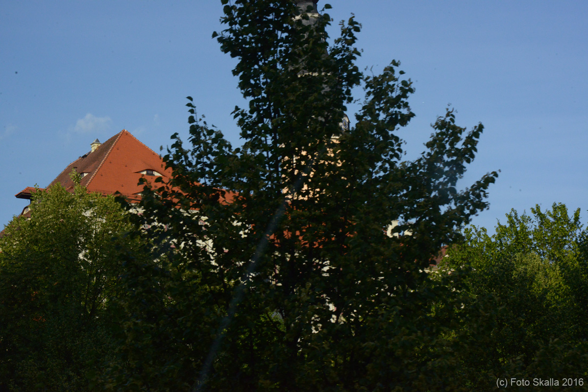 DSC_6497