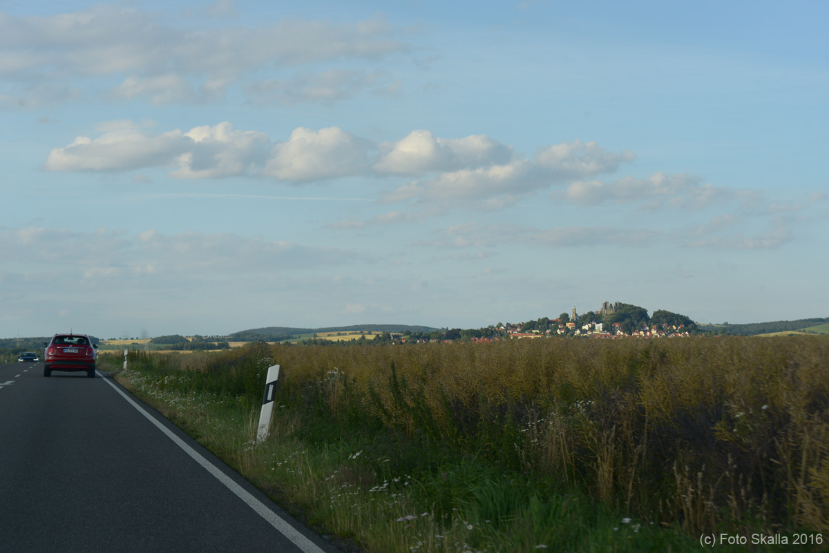 DSC_6530