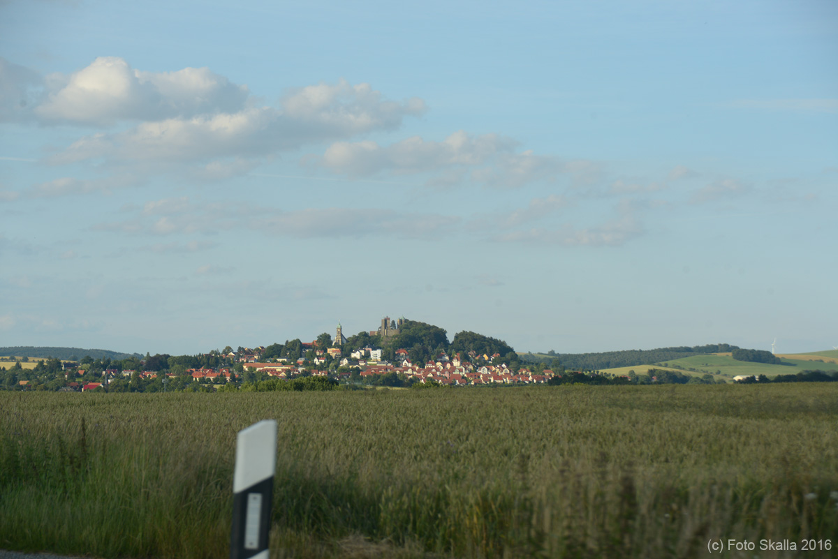 DSC_6531