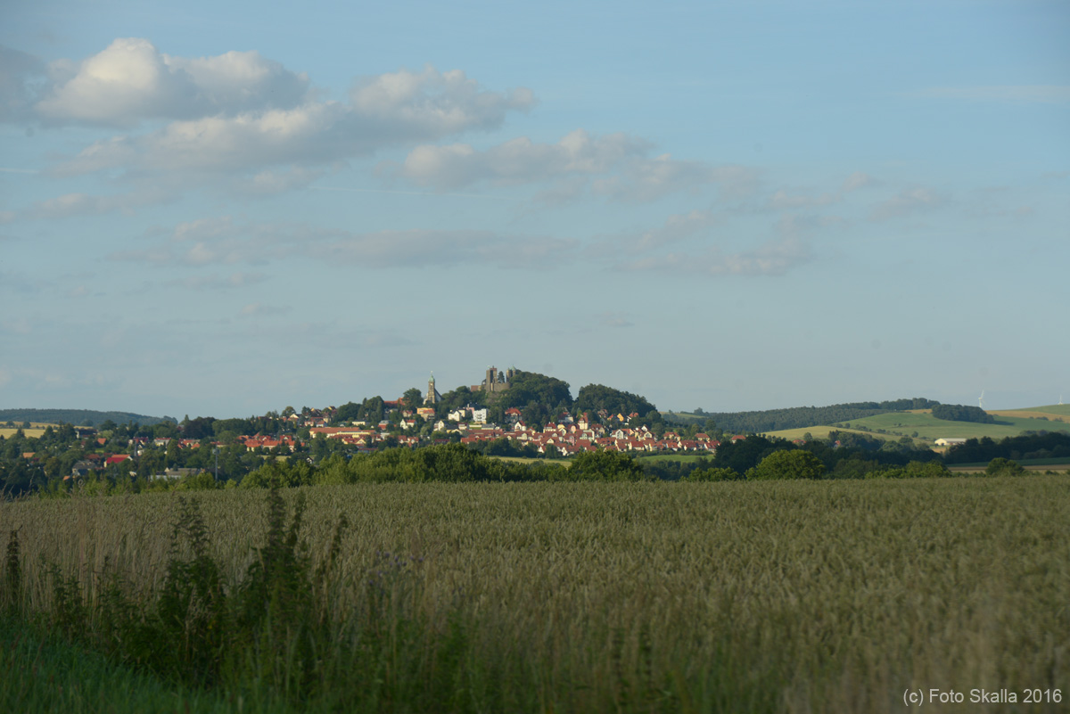 DSC_6532
