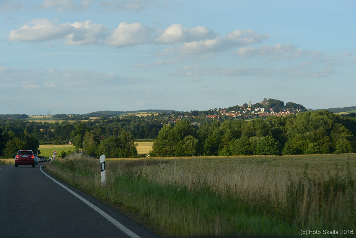 DSC_6534