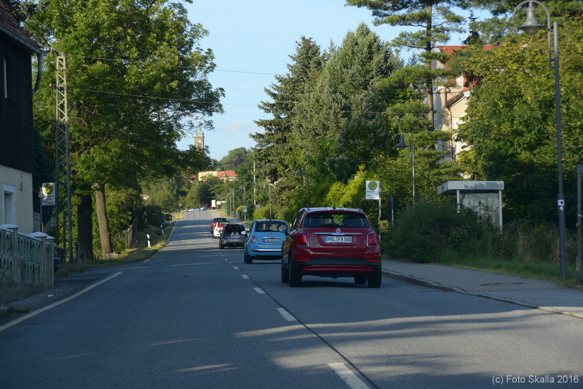 DSC_6551