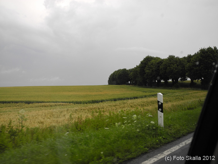 DSCN2639