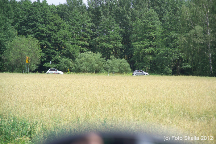 GT3D7686