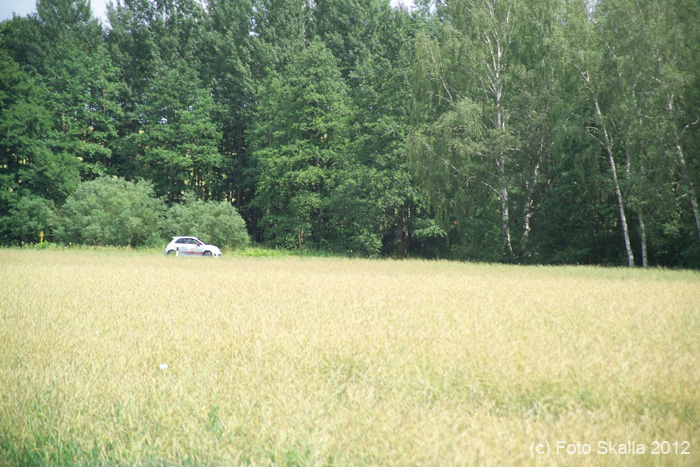 GT3D7687