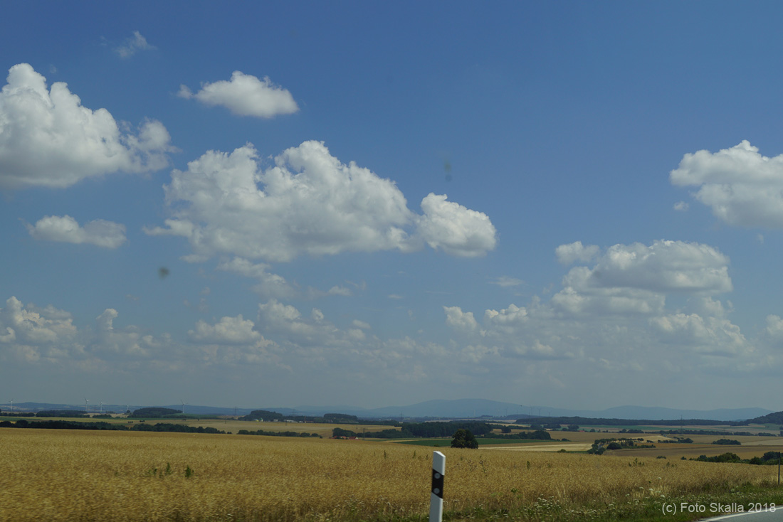DSC02389