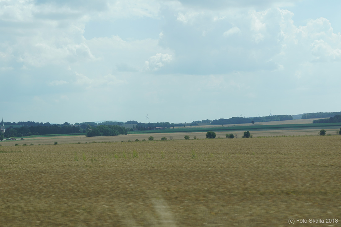 DSC02411