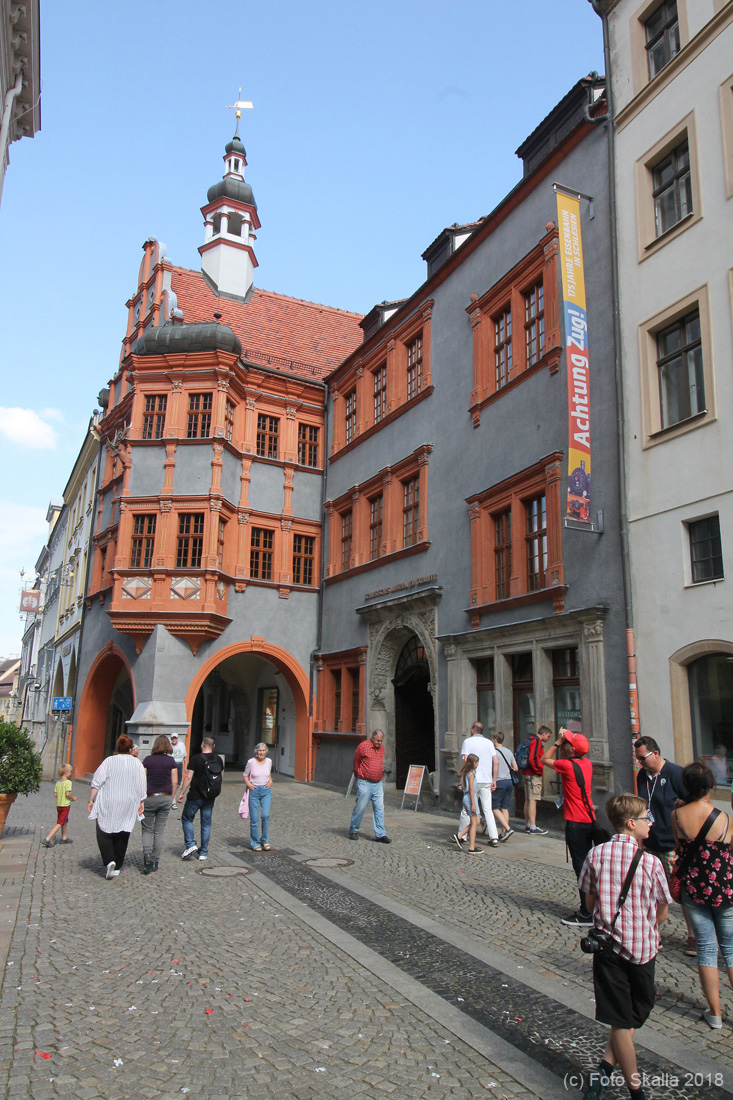 IMG_7954
