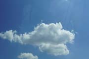 DSC02419