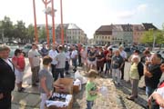 IMG_7869