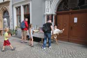 IMG_7953